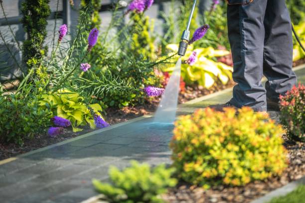 Dahlonega, GA Pressure Washing Services Company